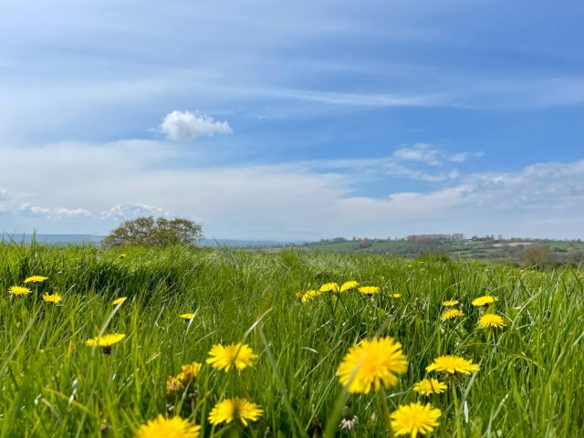 View towards Somerton