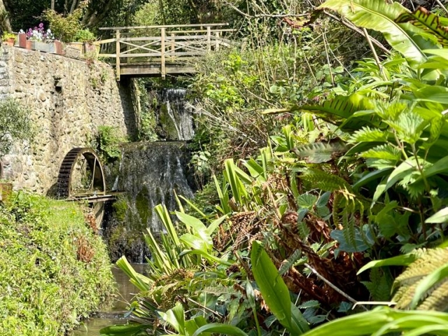 Water Wheel
