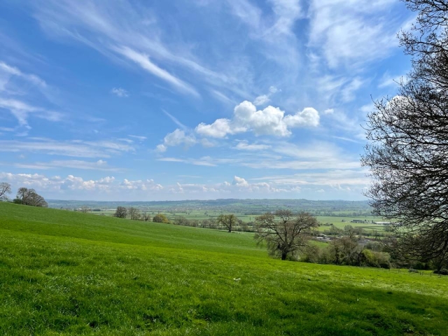 Wraxall Hill View