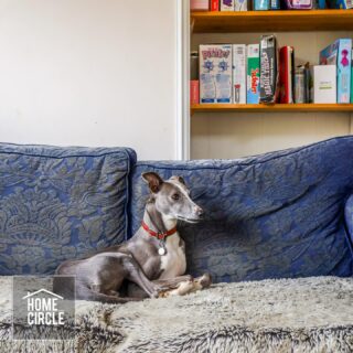 Companionship.
.
.
.
.
.
.
.
.
#property #homes #houses #epc #photographer #countryliving #countrylife #somerset #estateagents #forsale #throughmyeyes #prospective #angle #view #viewfrommywindow #housegoals #somersetbusiness #renovationproject #chasinglight